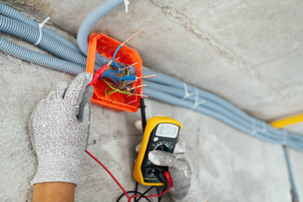 Best Electric Panel Repair  in Buenaventura Lakes, FL